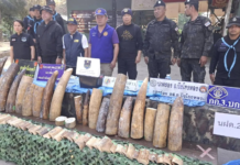 ไทยยึดงาช้างเกือบ 170 กิโลกรัม ซึ่งต้องสงสัยว่าขนส่งจากลาว