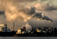 Brazil proposes fossil fuel phase-out plan at COP30, with over 80 countries in agreement.
